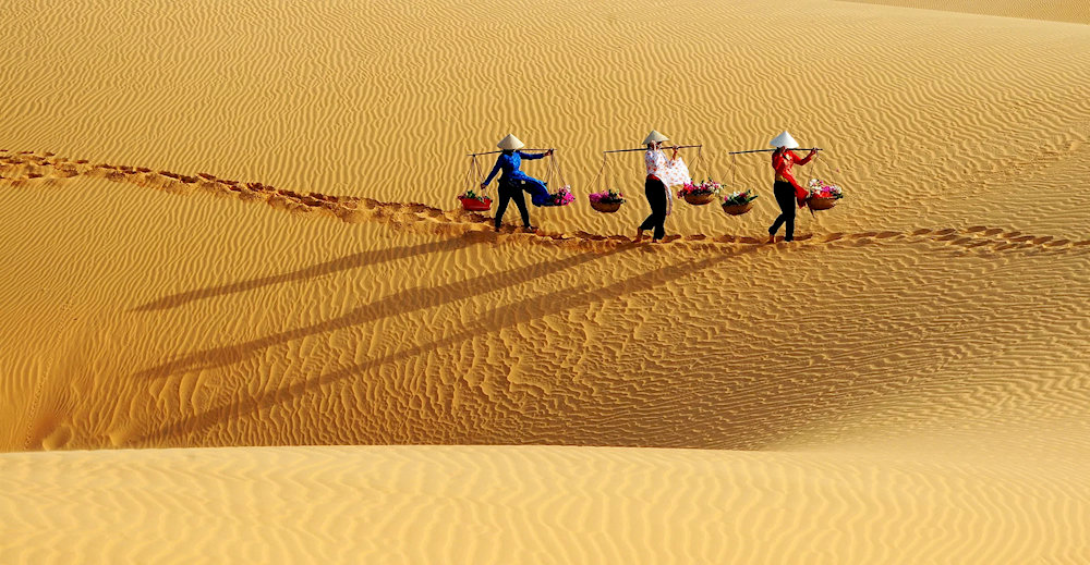 Phuong Mai Sand Dunes offer stunning natural landscapes with vast rolling sand hills ideal for exploration 